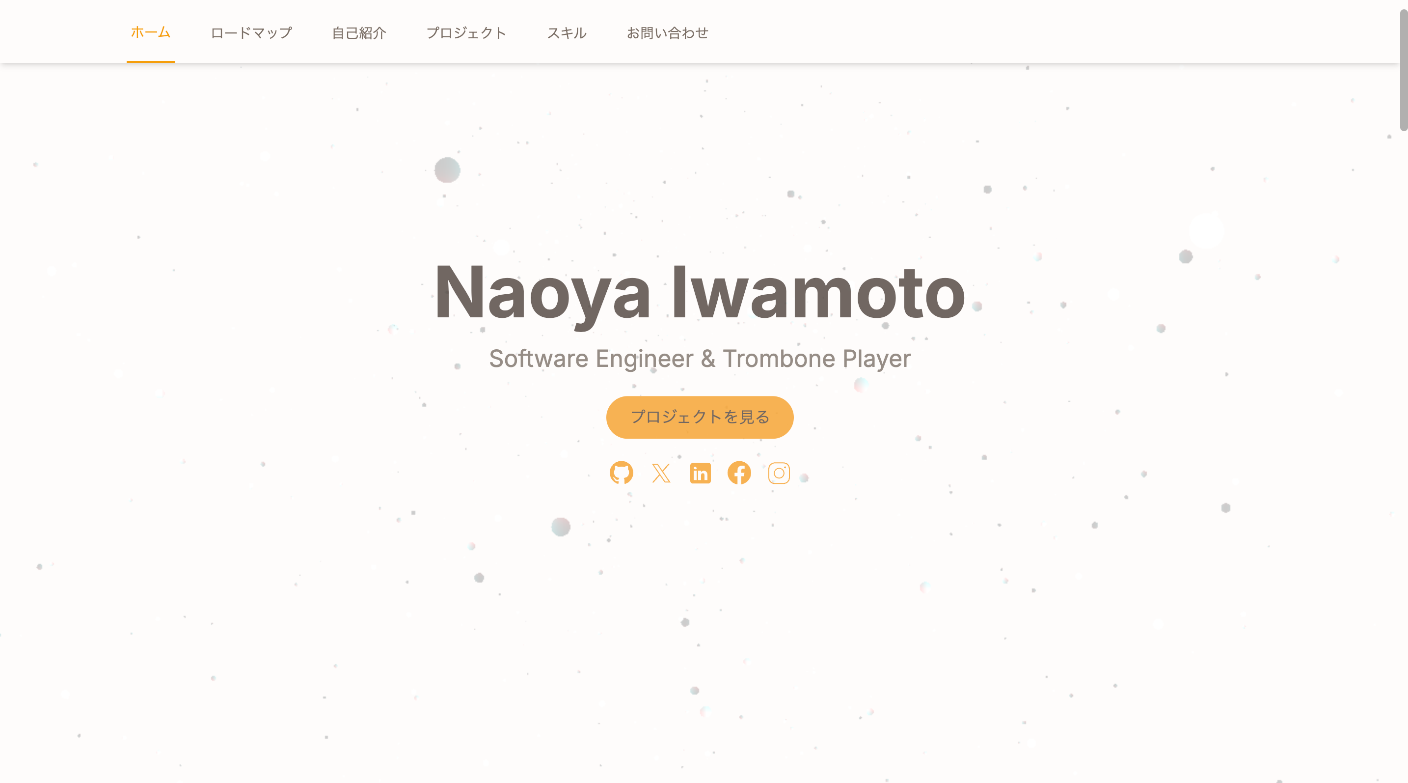 以前のポートフォリオ